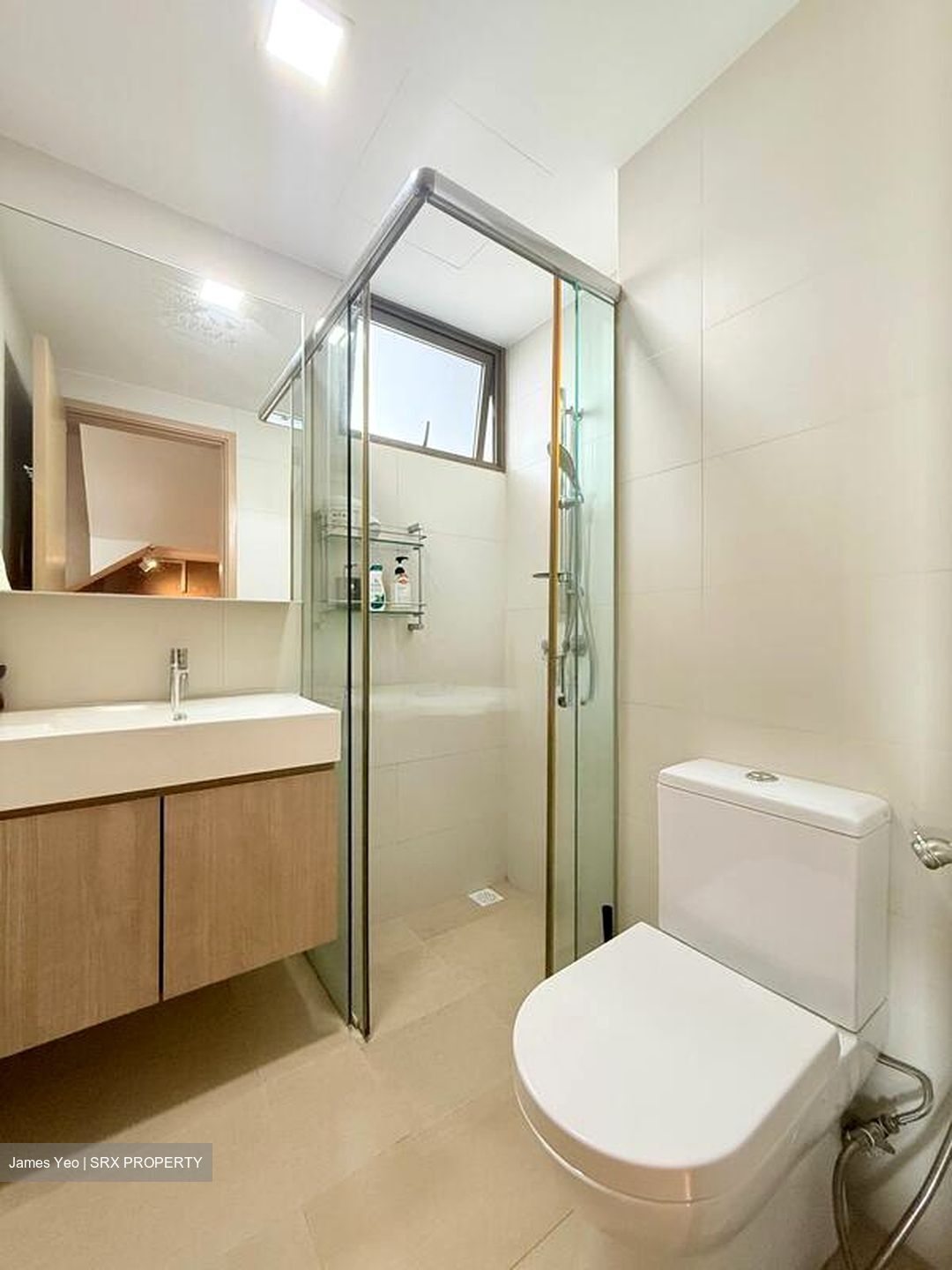 Parc Vera (D19), Condominium #571825611